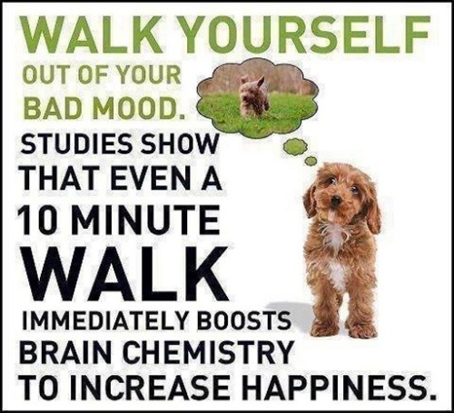 Walk yourself out of a bad mood