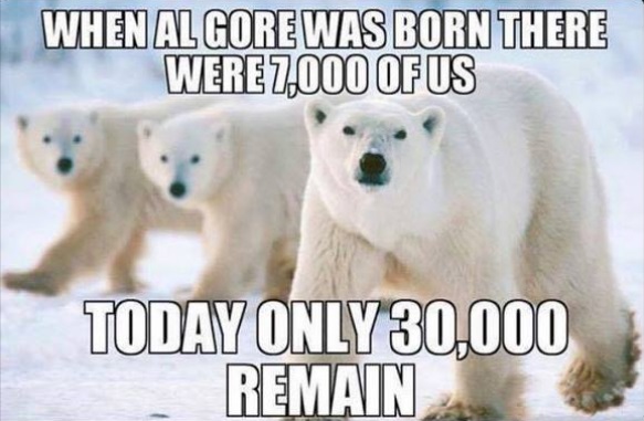 polar-bear-and-al-gore-meme.jpg