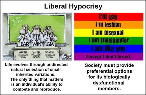 Liberal Hypocrisy Darwin and Gay Rights
