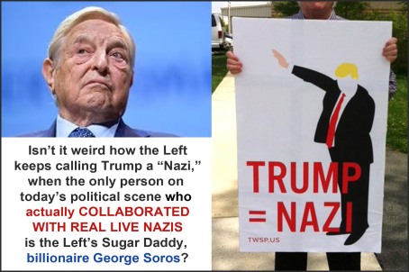 Image result for pics of left calling Trump a nazi