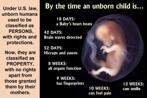 CIVIL RIGHTS unborn babies